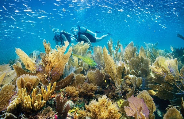 Introducing Keys Season: One Road. Miles of Savings  - by Florida Keys & Key West